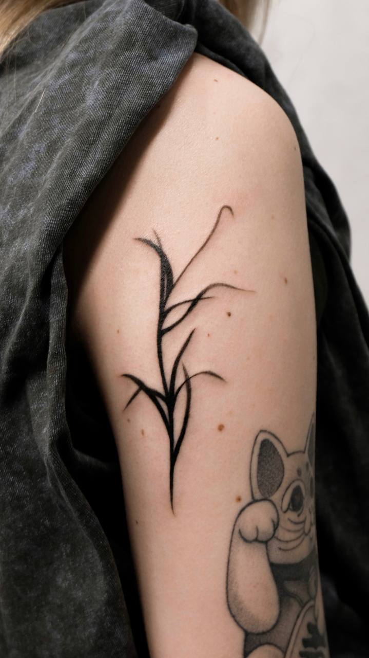 Тонкие линии