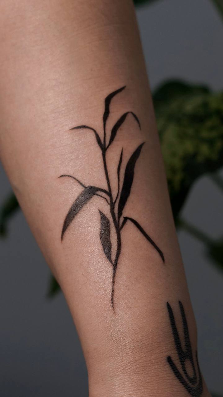 Минимализм