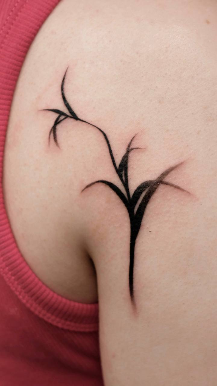 Мягкие линии