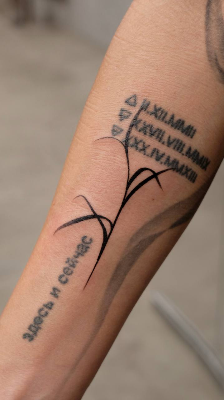 Випшейдинг